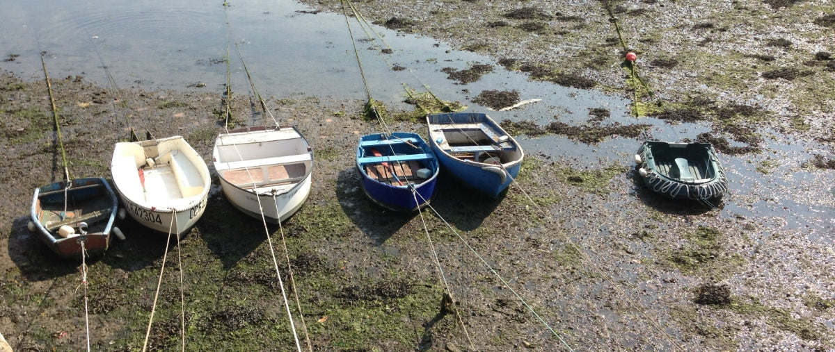 Les Mouettes d'Arvor - Nachhaltiges Engagement im Herzen unserer Konserven