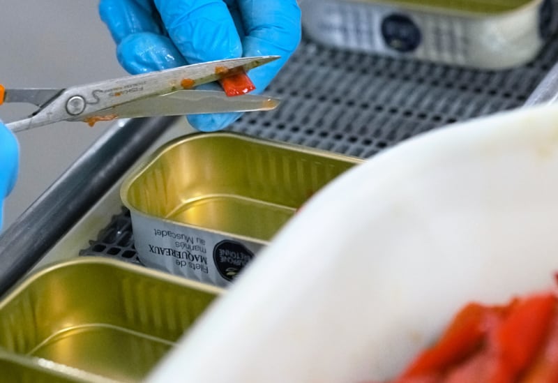 (Fast) alles über die Makrele - Maître Philippe & Filles