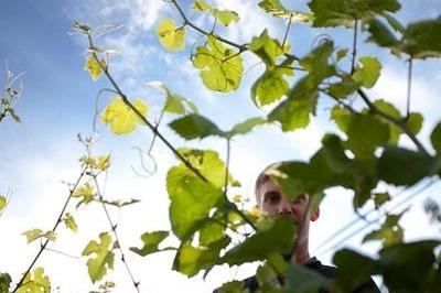 Winzerchampagner von Laherte Frères – Not your typical champagne! - Maître Philippe & Filles