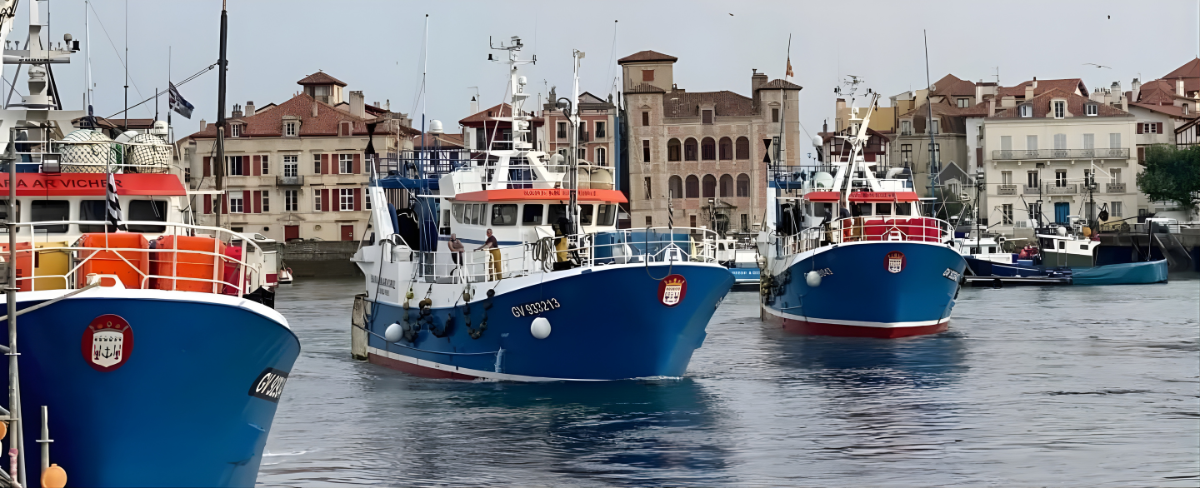 Jahrgangssardinen La Pointe de Penmarc'h - Maître Philippe & Filles