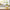 Miel Martine – Miel de Printemps (Frühlingsblütenhonig) 250g Miels Martine