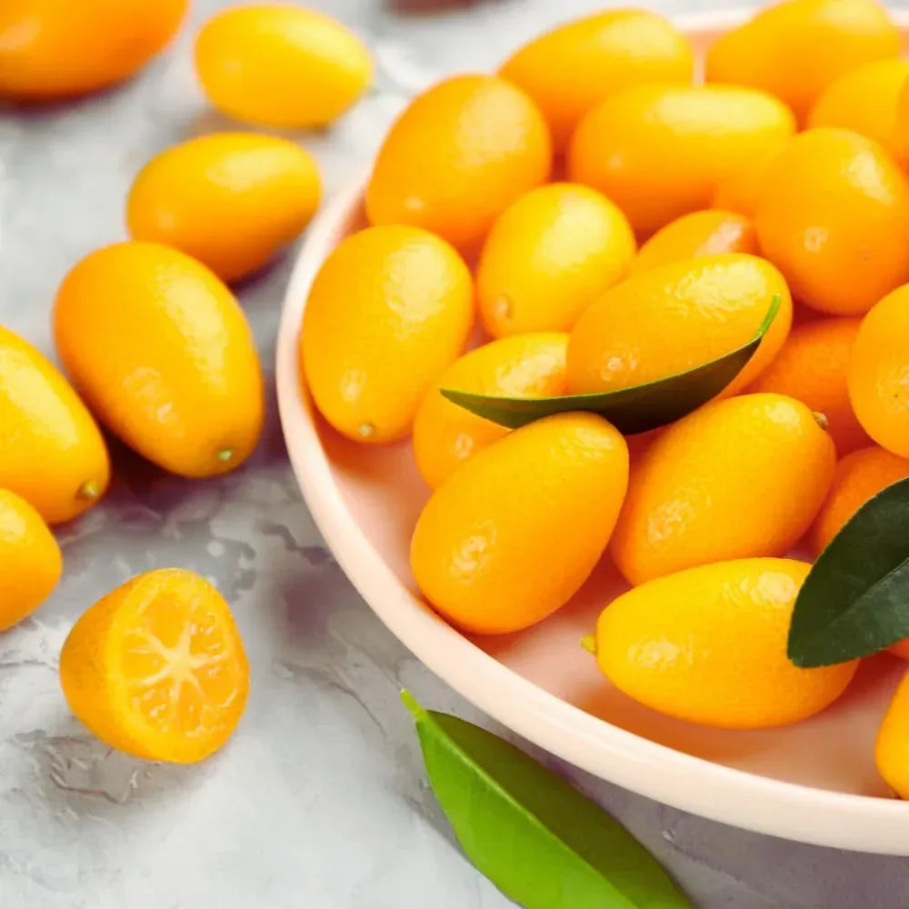 Kumquat-Konfitüre - La Trinquelinette - Maître Philippe & Filles