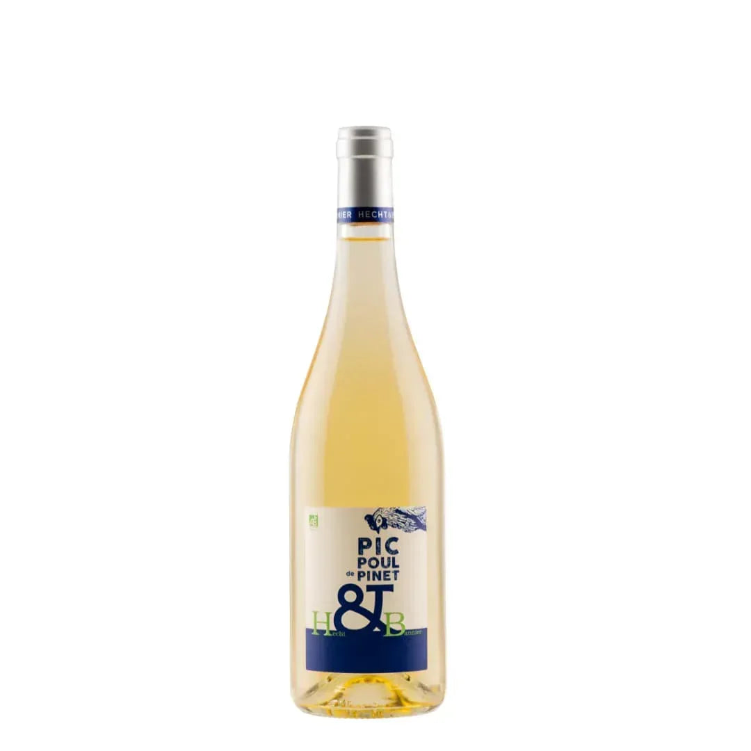 Picpoul de Pinet 2024 Hecht & Bannier