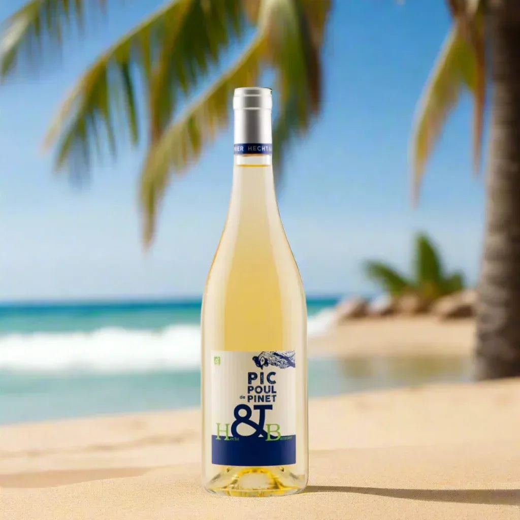 Picpoul de Pinet 2024 - Hecht & Bannier - Maître Philippe & Filles