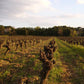 Seminar: Rhône (16.09.2026)