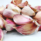 Rosa Knoblauch aus Lautrec Ernte 2026 La Lautrecoise