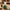 Rillettes de Canard Enten-Rillettes · 95 g Maison Lembert