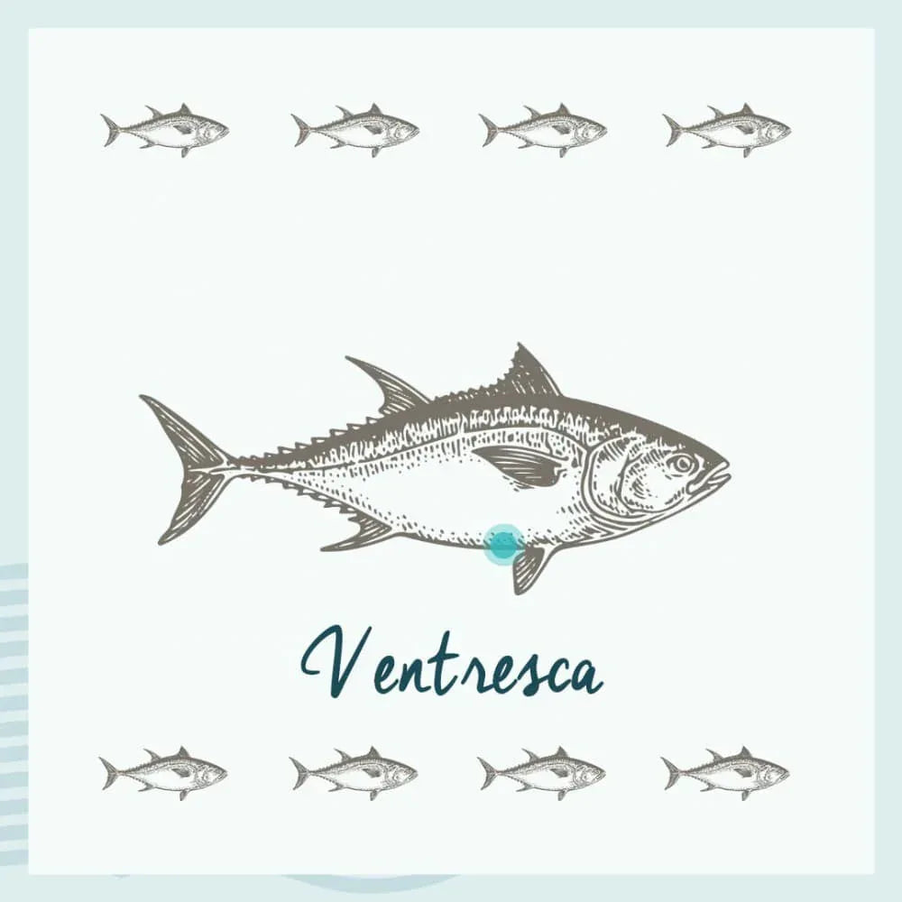 Thunfischbauch 120g in Olivenöl - Conservas de Tarifa - Conservera de Tarifa - Maître Philippe & Filles