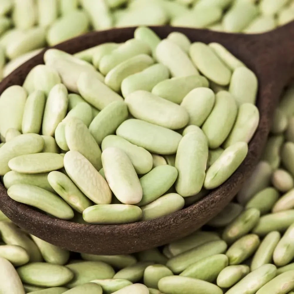 Flageolets verts - grüne Flageolet-Bohnen 500g Alliance Bio