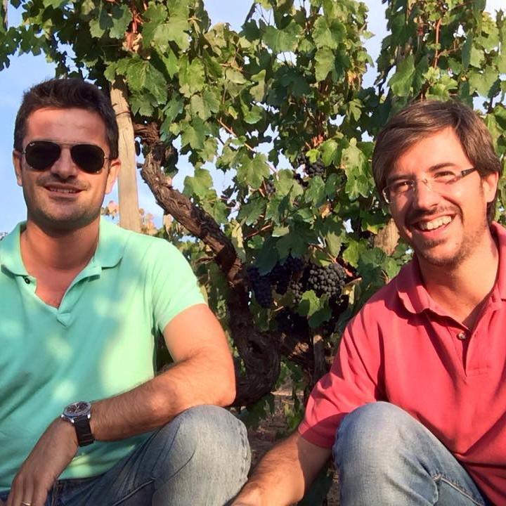 Druida 2017 Tinto - Dão - Nuno Mira do Ó - Maître Philippe & Filles