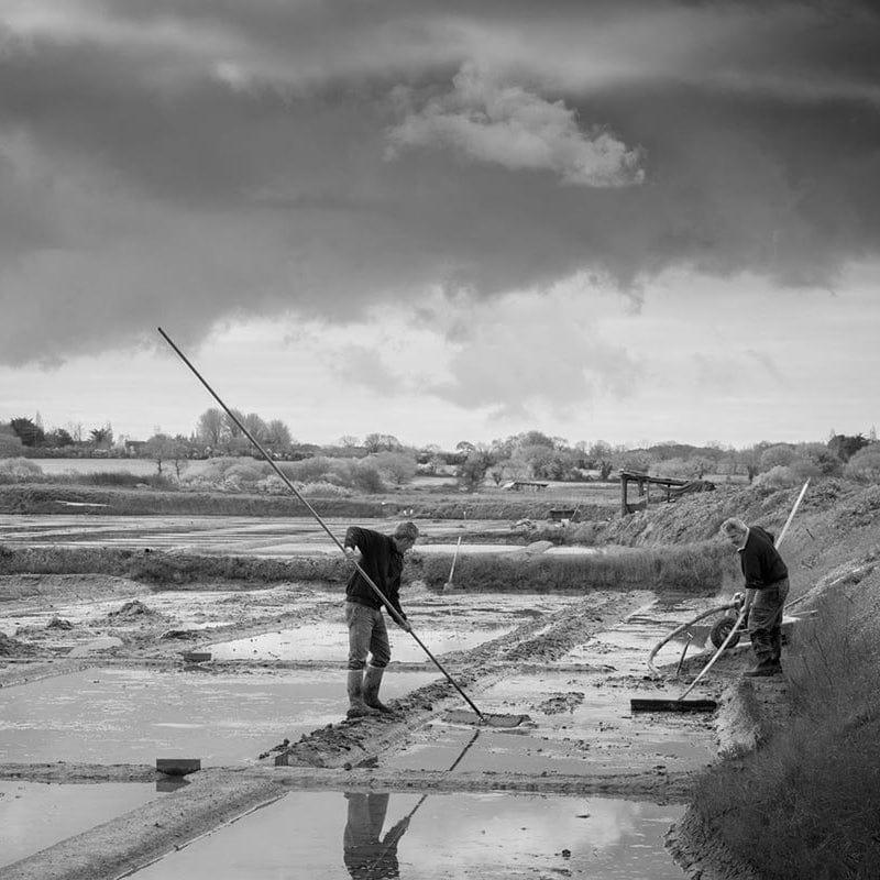 Fleur de Sel de Guérande 250g - Atelier du Sel- Morel et Le Chantoux - Maître Philippe & Filles