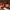 Herber Hibiskus - San Aperitivo - Dr. Jaglas Dr. Jaglas