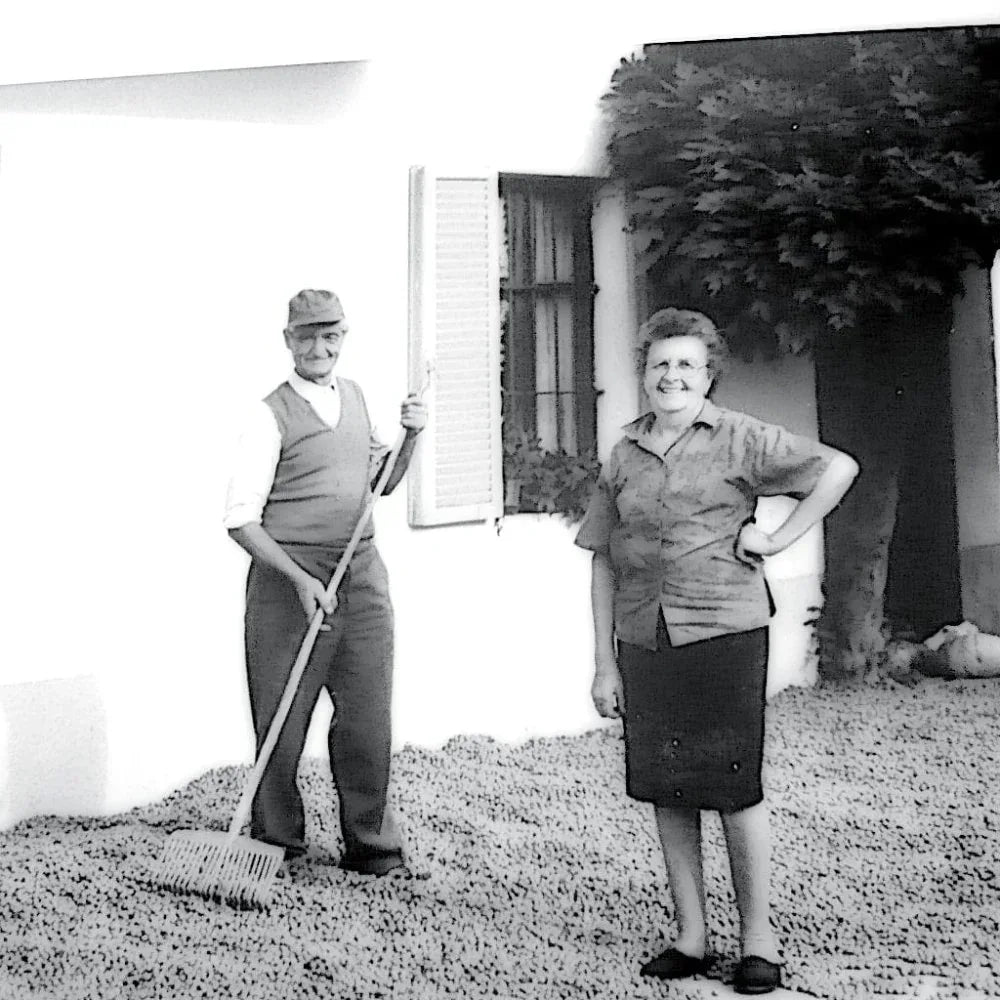 Piemonteser Haselnüsse Papa dei Boschi - Azienda Agricola Papa dei Boschi - Maître Philippe & Filles