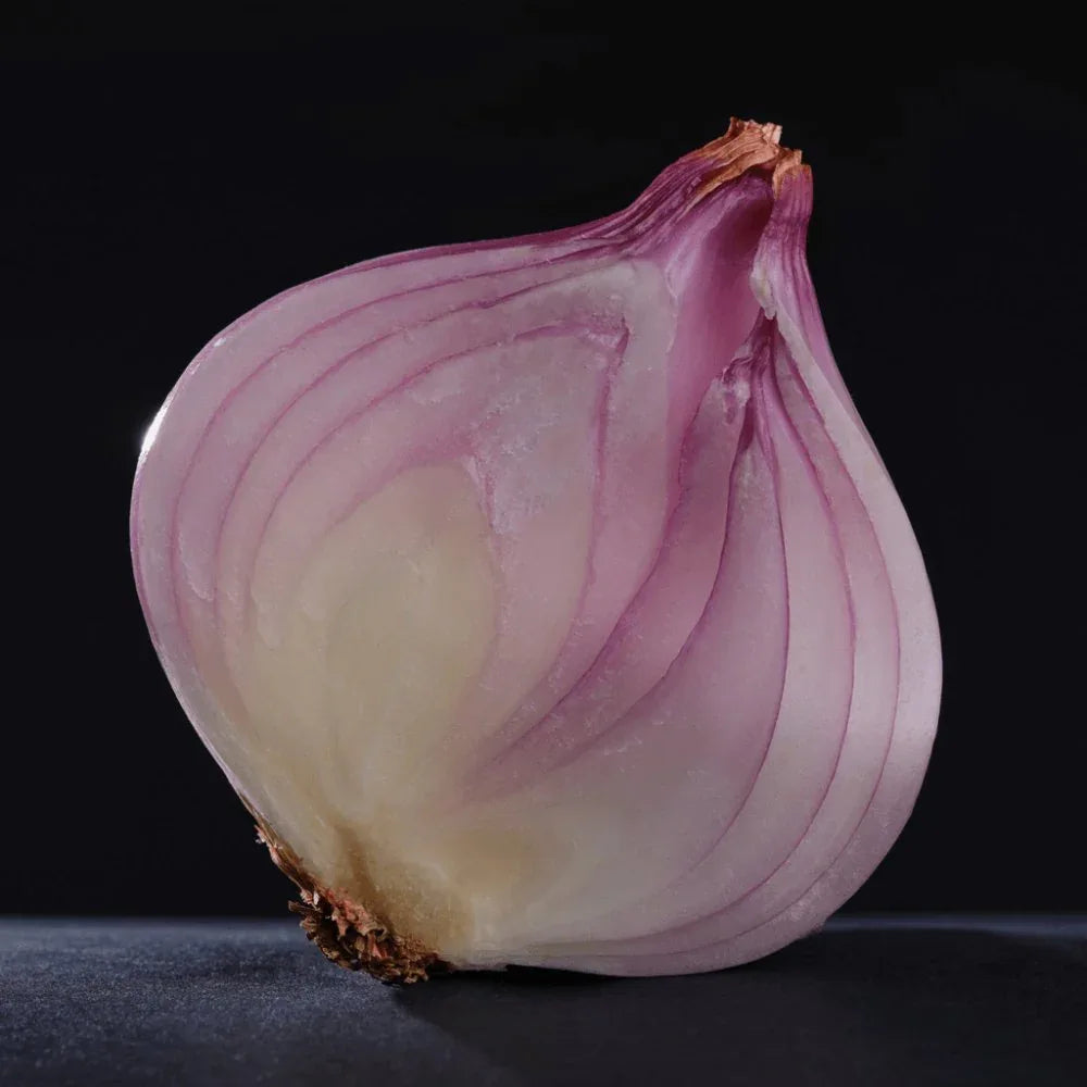 Rosa Zwiebel aus Roscoff Ernte 2026 Ferme de Kergus