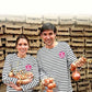 Rosa Zwiebel aus Roscoff Ernte 2026 Ferme de Kergus