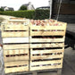 Rosa Zwiebel aus Roscoff Ernte 2026 Ferme de Kergus