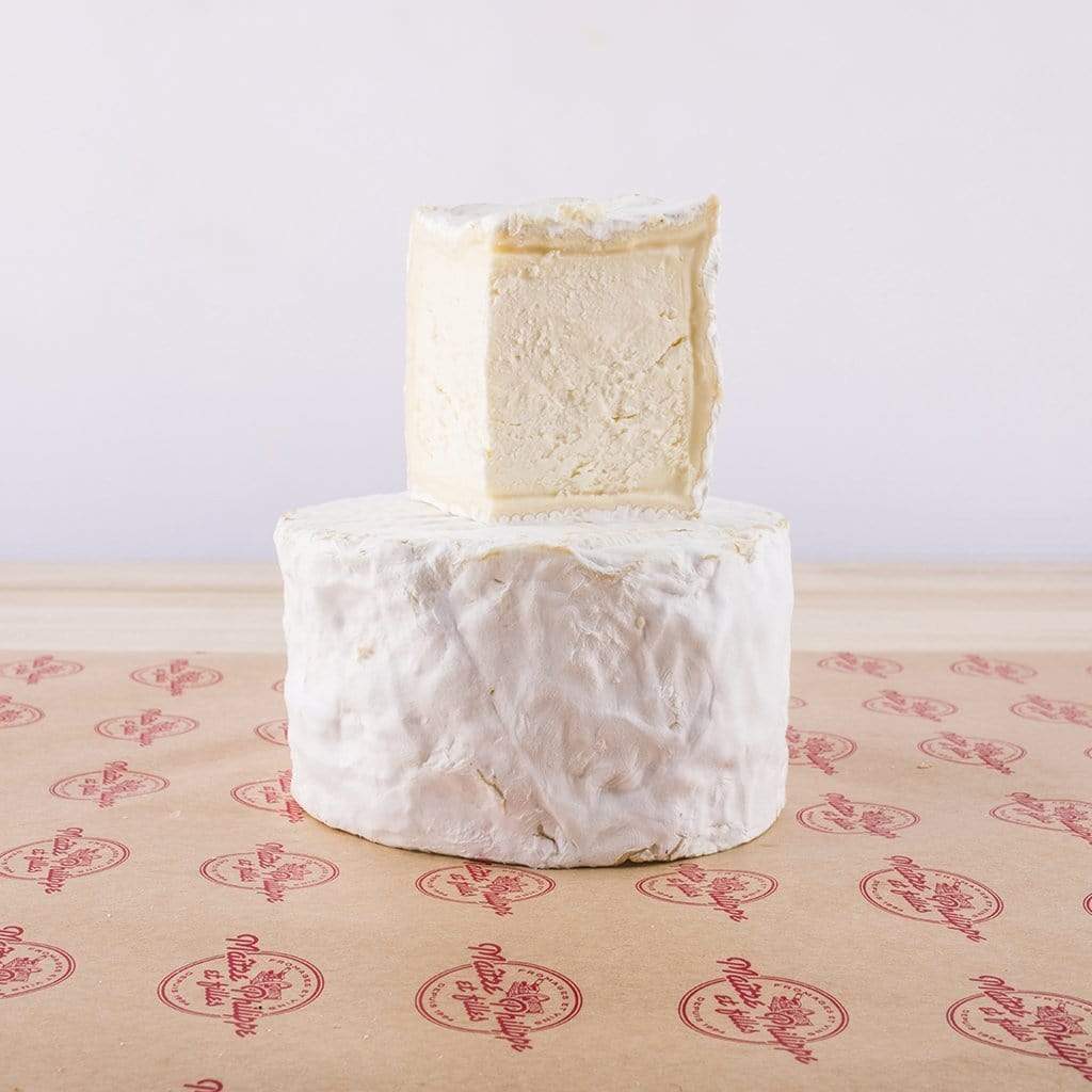 Seminar: Les classiques (15.04.2026) Maître Philippe & Filles